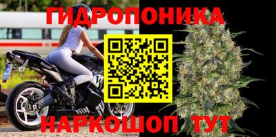 стафф Тверь