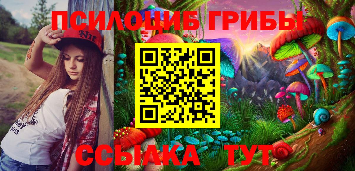 Псилоцибиновые грибы Psilocybe  Вход с VPN  Богородицк 